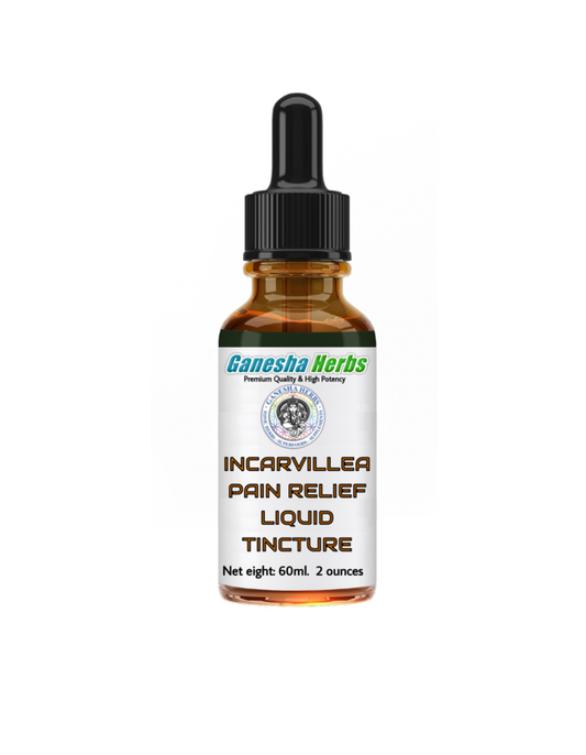 Incarvillea Sinensis  Pain Relief Liquid Tincture 2 oz image 0