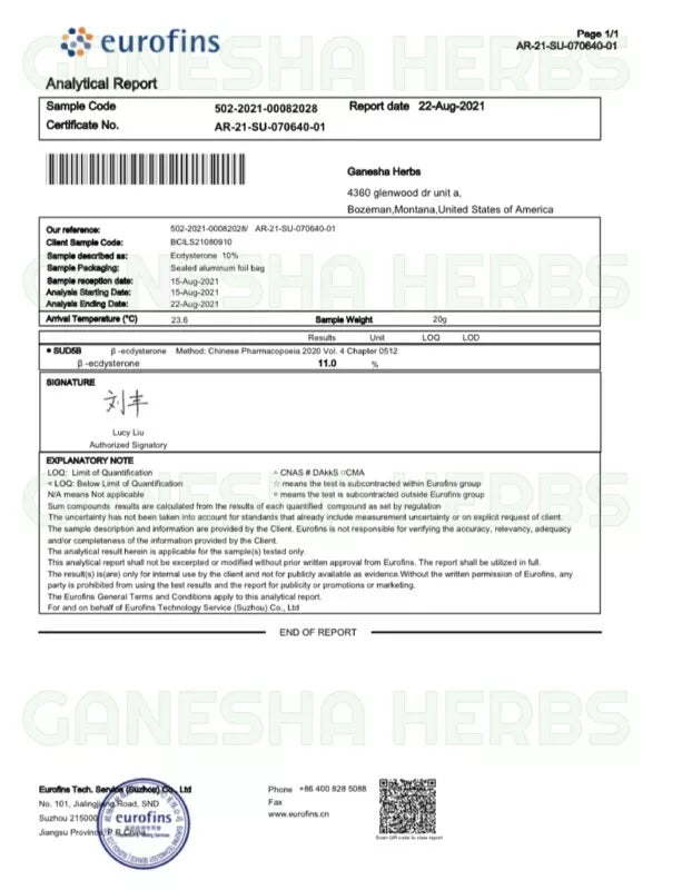 Ajuga Turkestanica Liquid Tincture 2 ounces  / 60ml. image 1