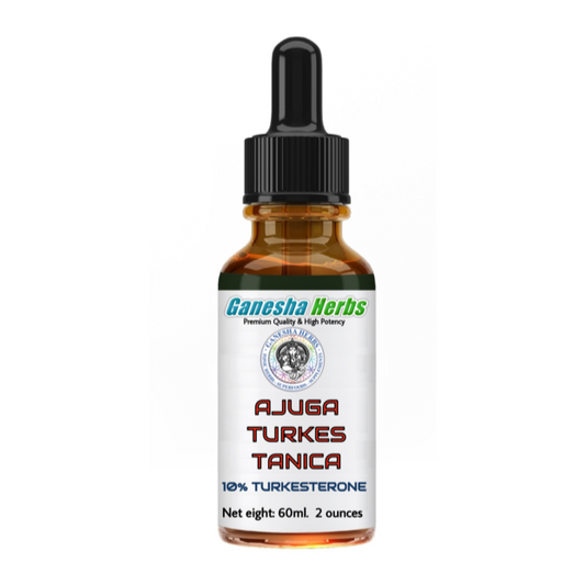 Ajuga Turkestanica Liquid Tincture 2 ounces  / 60ml. image 0