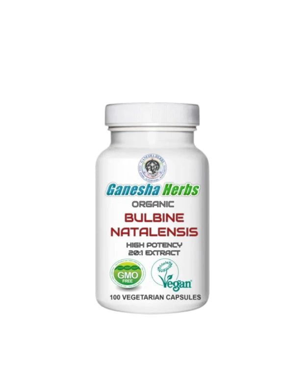 Bulbine Natalensis Capsules