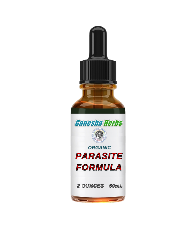 Parasite Cleanse Liquid Tincture