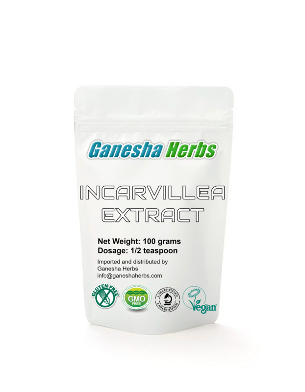 Incarvillea Sinensis 20:1 Extract Powder 100grams image 0