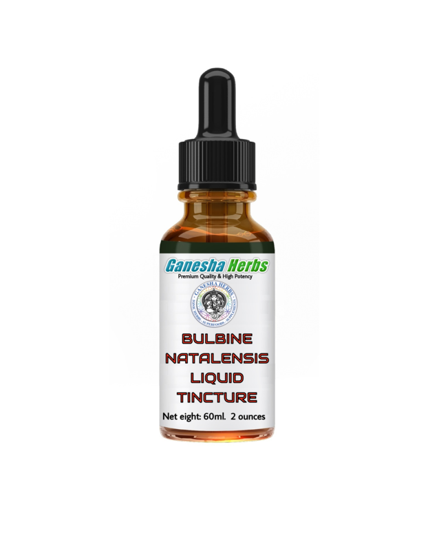 Bulbine Natalensis Liquid Tincture 2oz image 0