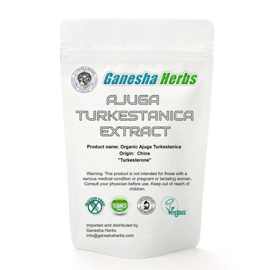 Ajuga turkestanica 20:1 extract powder 100 grams image 0