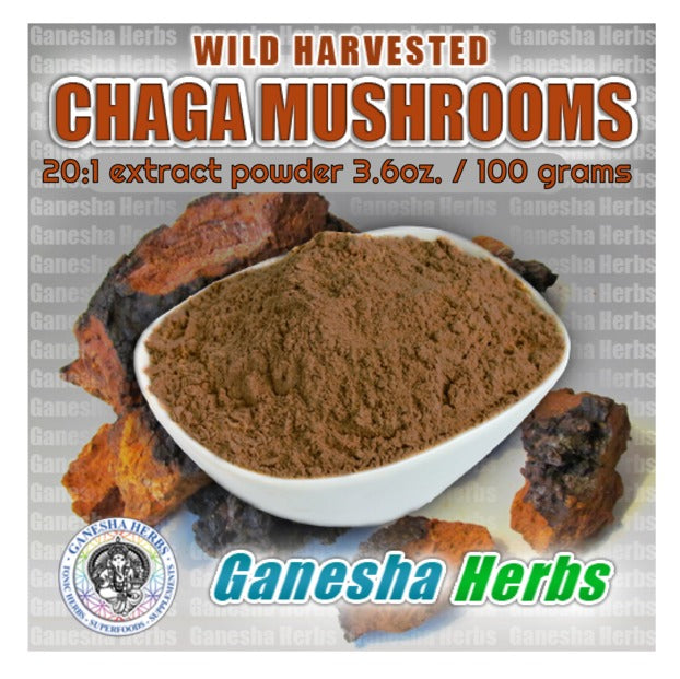 Certified Chaga Mushroom 3.6 oz. / 100 grams image 1
