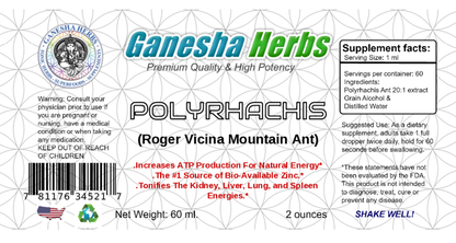 Polyrhachis extract liquid Tincture 2oz / 60ML. image 2