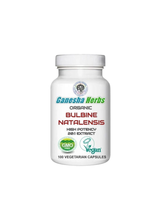 Bulbine Natalensis Capsules