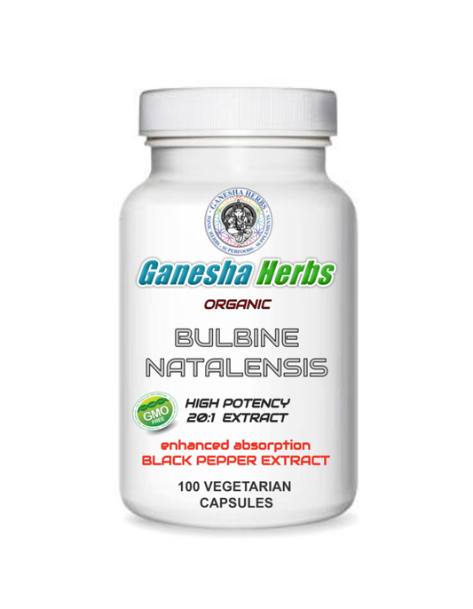 Bulbine Natalensis Capsules