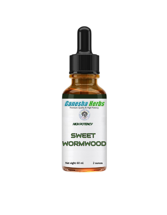 Sweet Wormwood Liquid Tincture