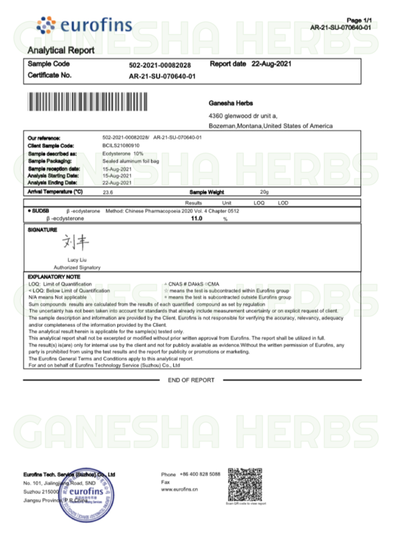 Ajuga Turkestanica (10% Turkesterone) Extract Powder