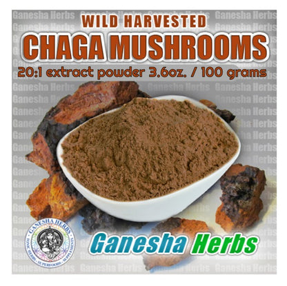 Certified Chaga Mushroom 3.6 oz. / 100 grams image 1